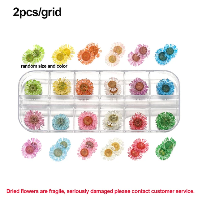 1Box Dried Flowers Dry Plants for Rsein Molds Fillings Epoxy Resin Pendant Tweezers Jewelry Making Craft DIY Nail Art Decoration Style23
