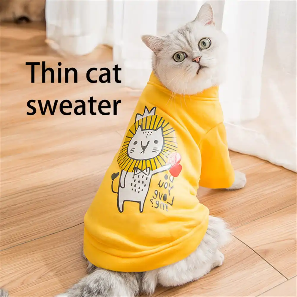 blue cat sweater
