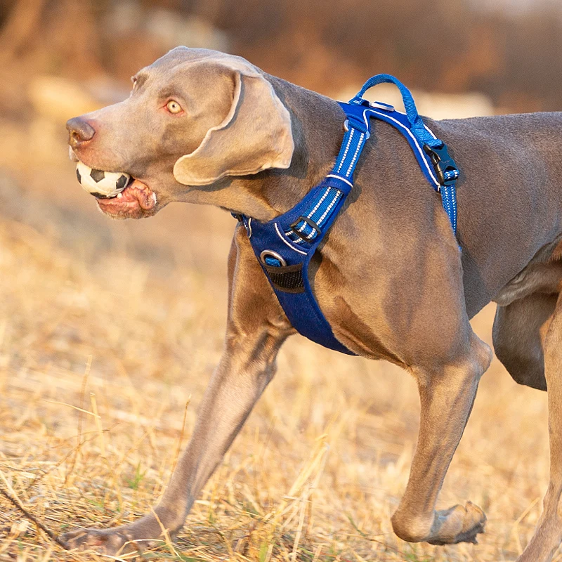 Dog Training Adjustable No Pull Harness