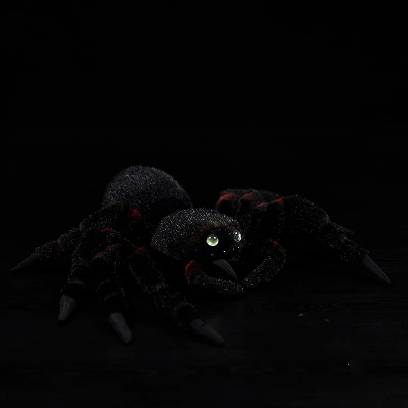 O1CN01cBsJkR1DnZzWYYO4c_!!22080261