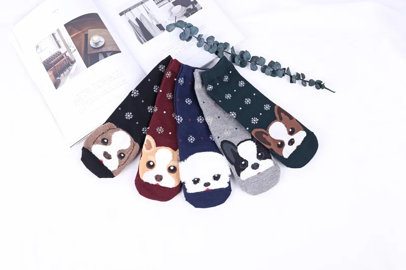 9195509613_903822819