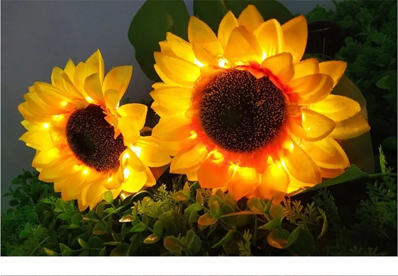 5eb667a919a17a4c717e7c05-8-original