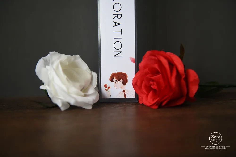 新玫瑰一变四  (4)