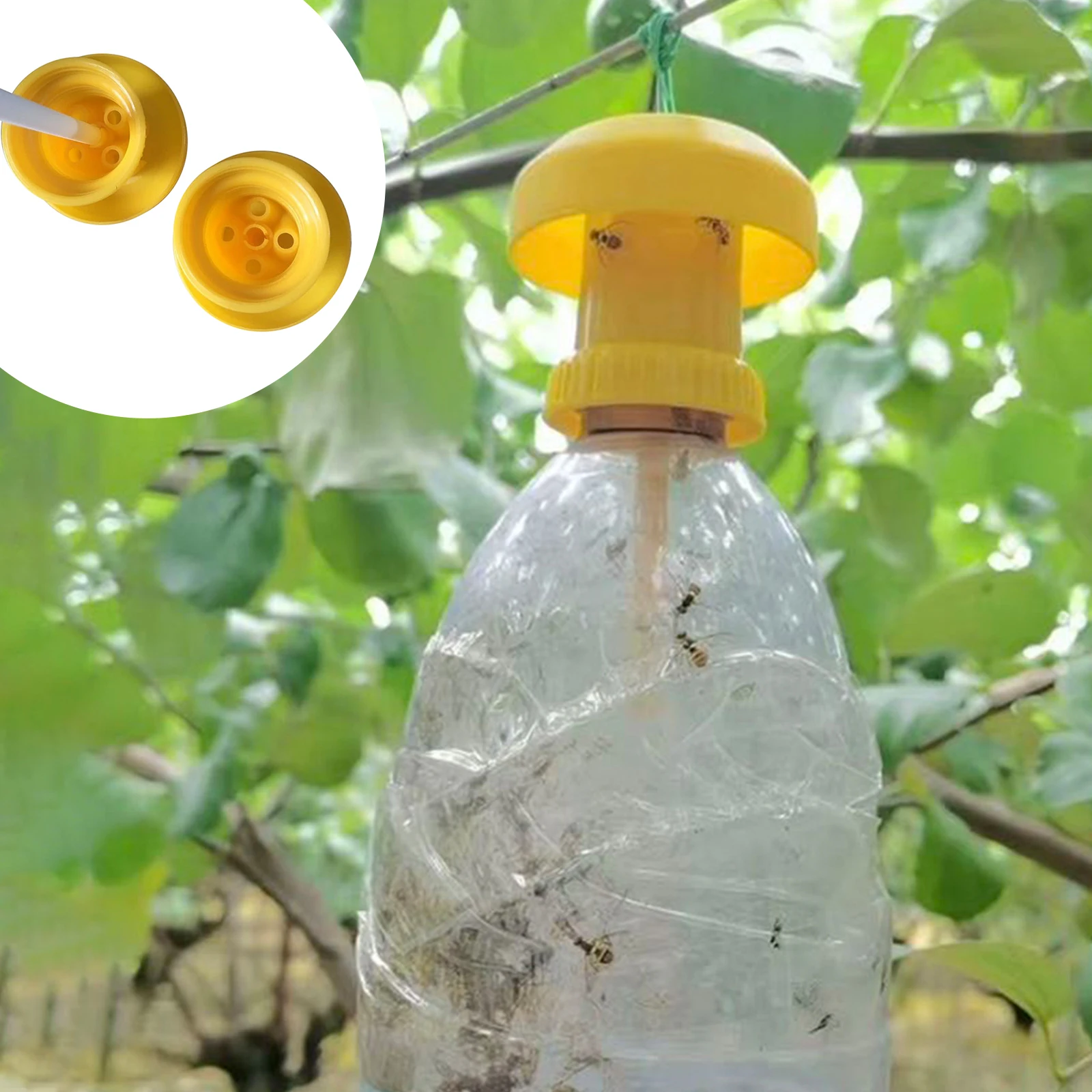 Plastic Insect Trapper, Plastic Trap Catcher