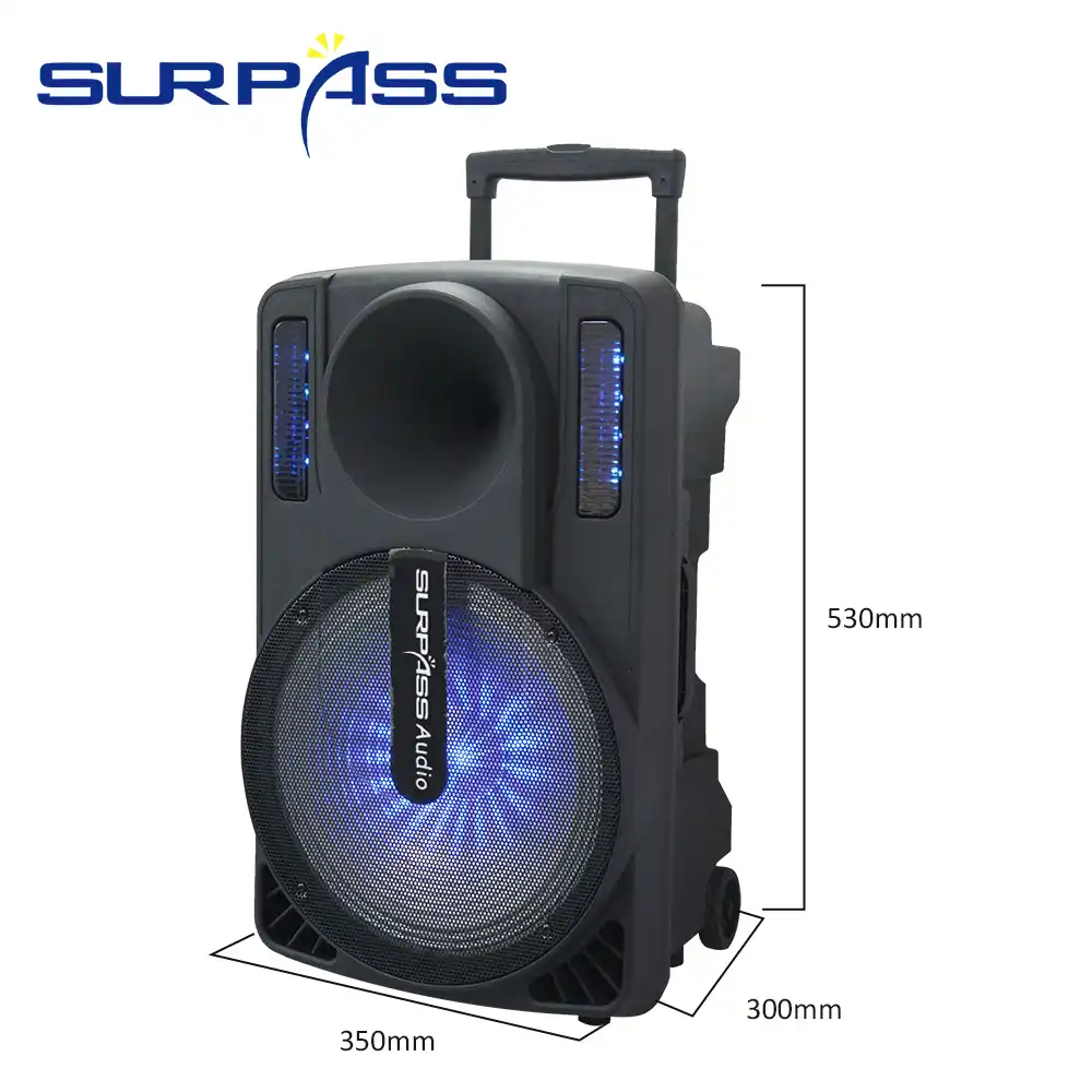 speaker portable 10 inch