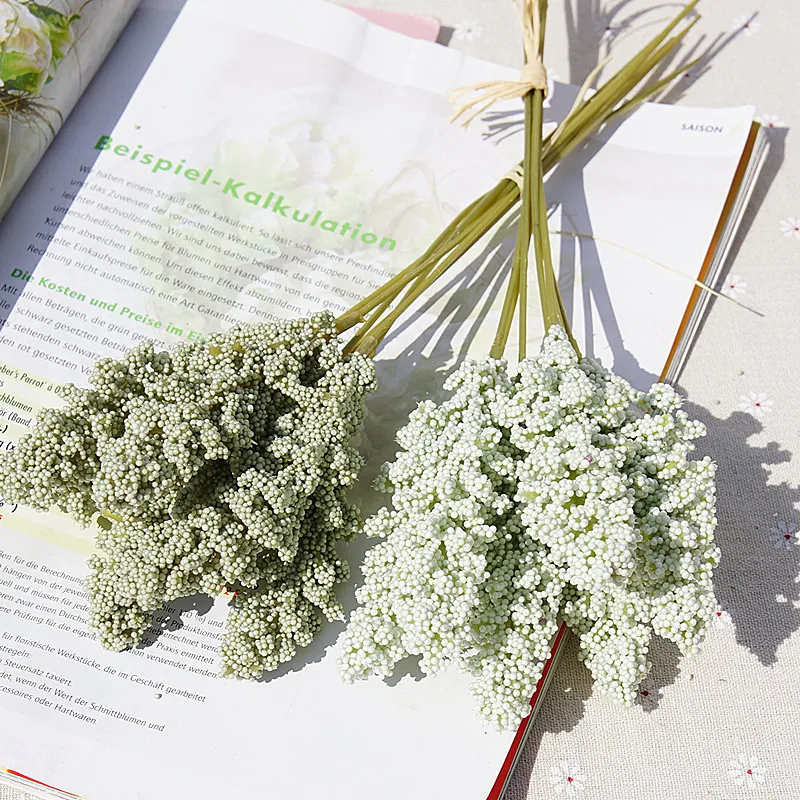 10848070874_734720388