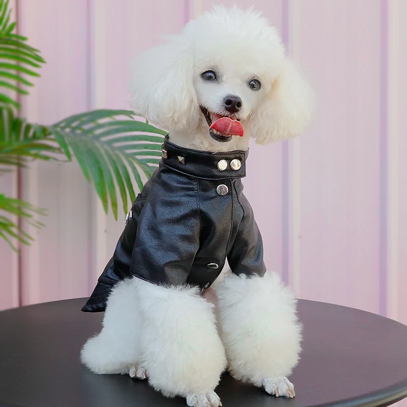 roupa para cachorro pequeno, yorkshire pomerania, poodle,