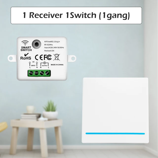 1Receiver 1Switch