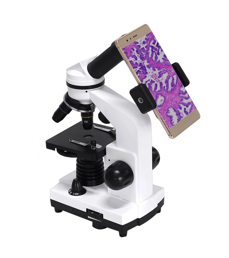 Teaching Demonstration Eyepiece Microscope Microscope Suitable for Interest Cultivation 3 50X-1600X Objective Microscope 3 Monocular Biological Microscope Beauty Test 
