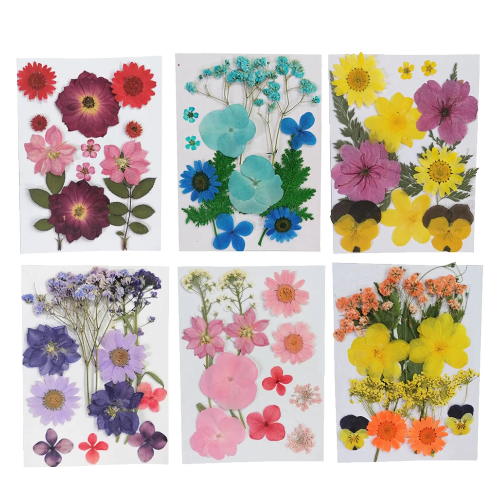 12PCS/Bag Pressed Dried Real Natural Flowers Plants for Handmade Bookmarks, Scrapbooking, Album Frame Decor, Art Paper Making