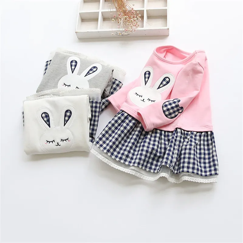 

High Quality Baby Dress Long Sleeve Cartoon Embroiderie Bunny Princess Dress Spring Baby Girl Clothes Girl Clothes 3 Designs