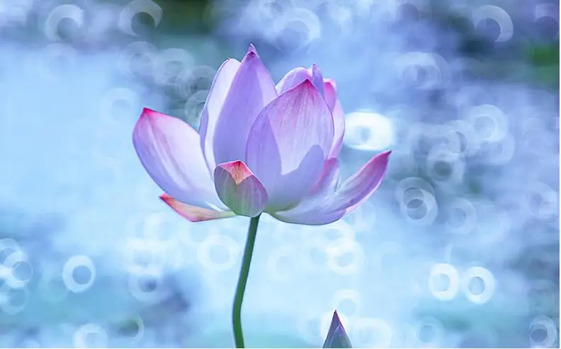 360Pcs Dustless White Drawing Chalk for School