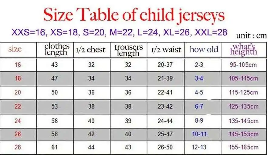 Borussia Dortmund 17 HAALAND REYNA 110th soccer jersey 19 20 21 HAZARD GOTZE REUS PULISIC WITSEL Jersey PACO ALCACER football