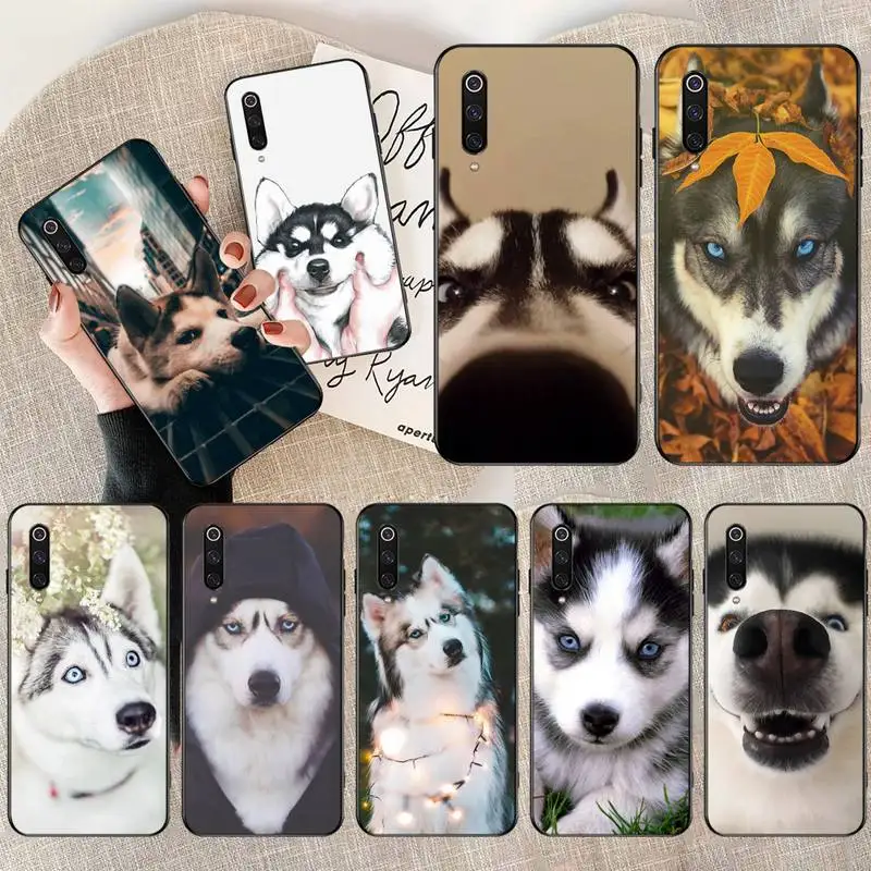 Animal Dog Husky Luxury Unique Design Phone Cover for Xiaomi Mi10 10Pro 10 lite Mi9 9SE 8SE Pocophone F1 Mi8 Lite | Мобильные