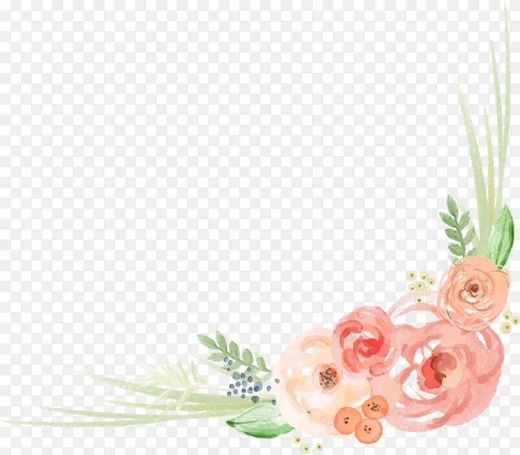 花卉设计花卉水彩画 水彩花边角png图片素材免费下载 图片编号00 Png素材网