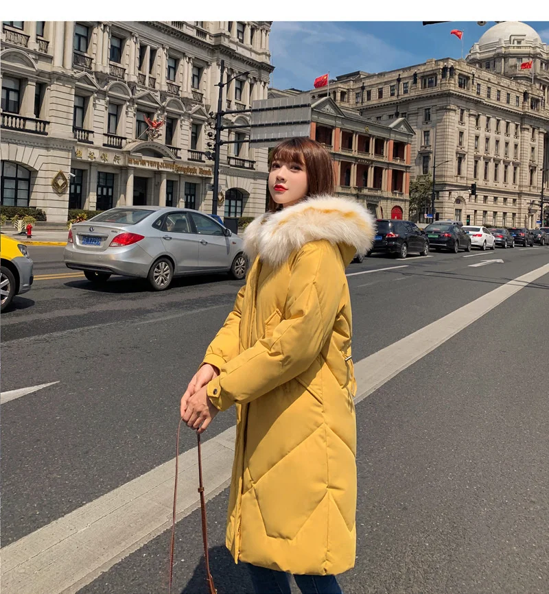 11602034986_822615558