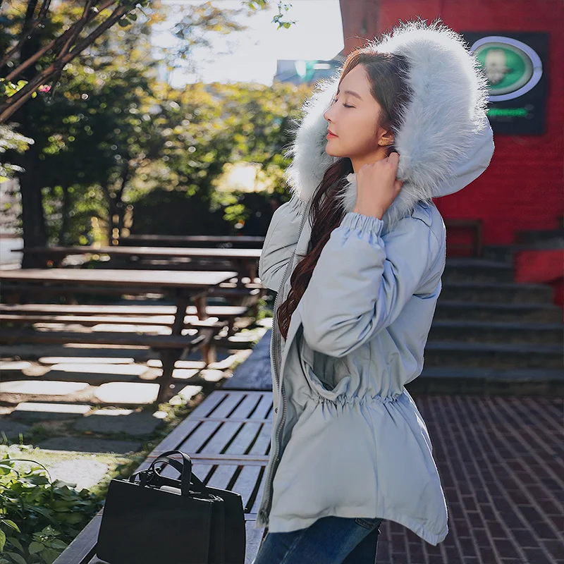 Kopen Dabuwawa Raccoon Fur Hooded Down Jas Vrouwelijke Winter Warme Dikke White Duck Down Jassen Jassen Bovenkleding Jas DN1DDW029