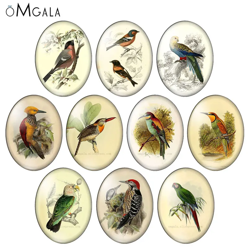 

Beauty Vintage Birds Owl parrot patterns 10pcs 13x18mm/18x25mm/30x40mm Oval photo glass cabochon demo flat back Making findings