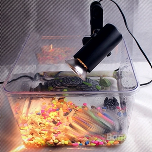 Pets for Brooder Heating UVB Light Holder Heat Tool Reptile Lamp Gadget Incubation Bulb Pet Reptiles Lights