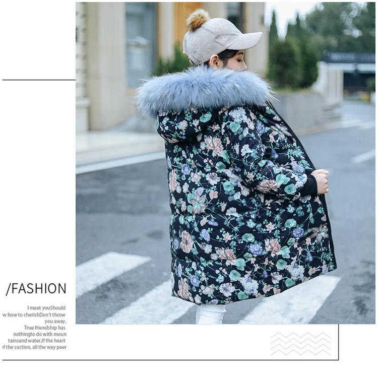 10111473456_1903448628