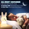 Cute Bunny | Sleep Night Lamp 5