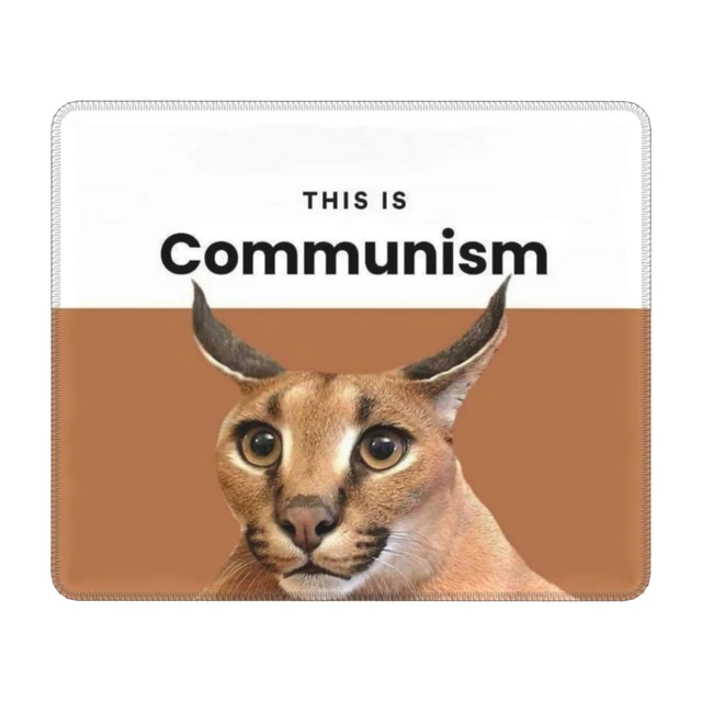 Cat Mouse Meme, Rubber Desktop Mat, Floppa Mouse Pad, Rubber Mouse Pad