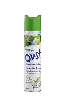 

Oust Purificatore d'Aria - 300 ml