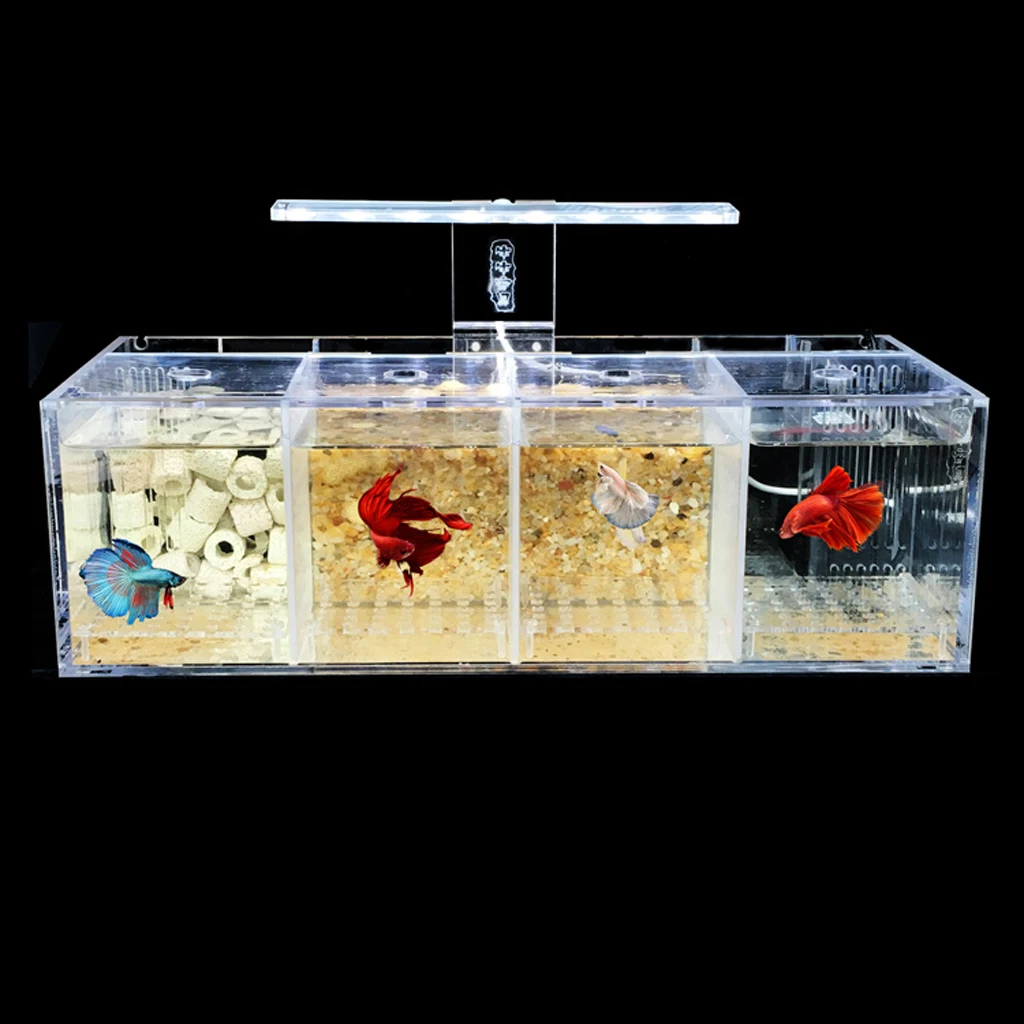 Acrylic Fish Tank Isolation Box Aquarium Breeding House Filter Box For Fish Guppies Betta Fish Hatchery Incubator Breeding Boxes