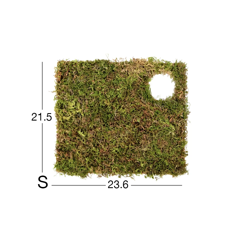 Moss mat-10