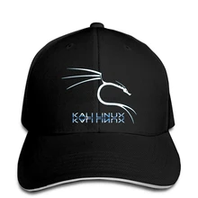 Бейсболка Kali Linux Dragon Hat остроконечная Кепка