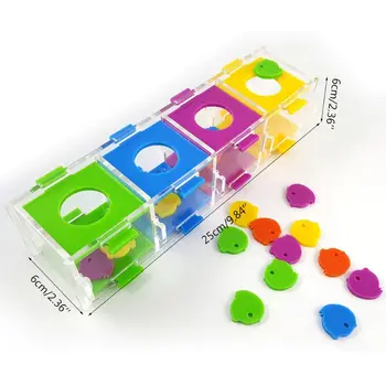 

Colorful Bird Parrot Intelligence Toy Coin Box Macaw Cockatiel Training Chew Toy