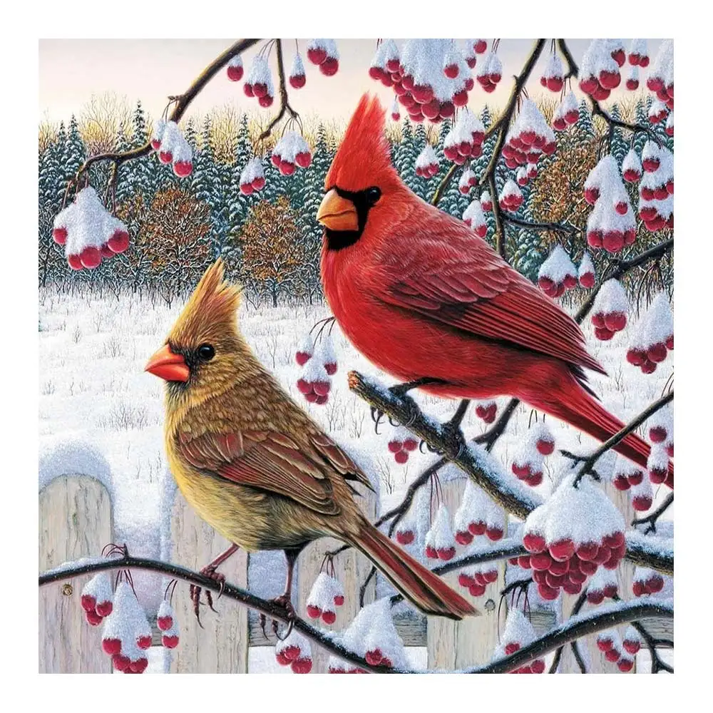 Североамериканские Cardinals Алмазная картина Полный Круглый животное птица Nouveaute DIY