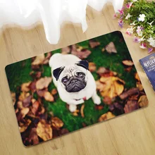 Европейский коврик для двери, ковер из картона, ковер для гостиной, спальни, дома, коврик для пола, впитывающий, нескользящий, резиновый, золотой, осенний, для домашних животных