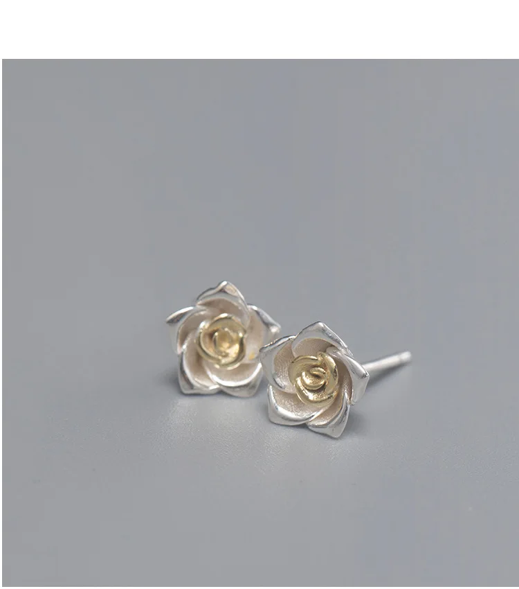 11365977747_896826829