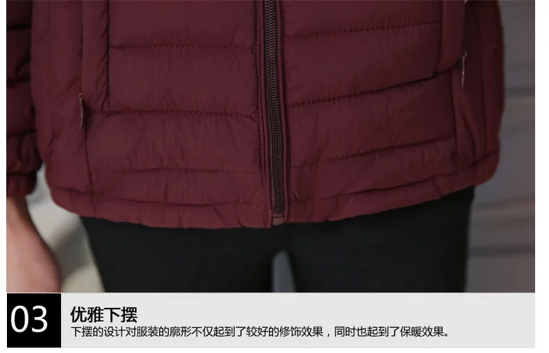 Off Season New Style Thin Cotton-padded Clothes Women's Winter Short Middle-aged Women Dress 30-40-50-Year-Old Cotton Coat Women