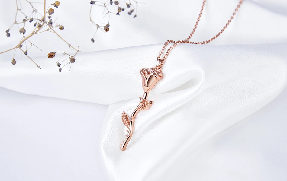 EQN06-SCENE-DSC_9149-R