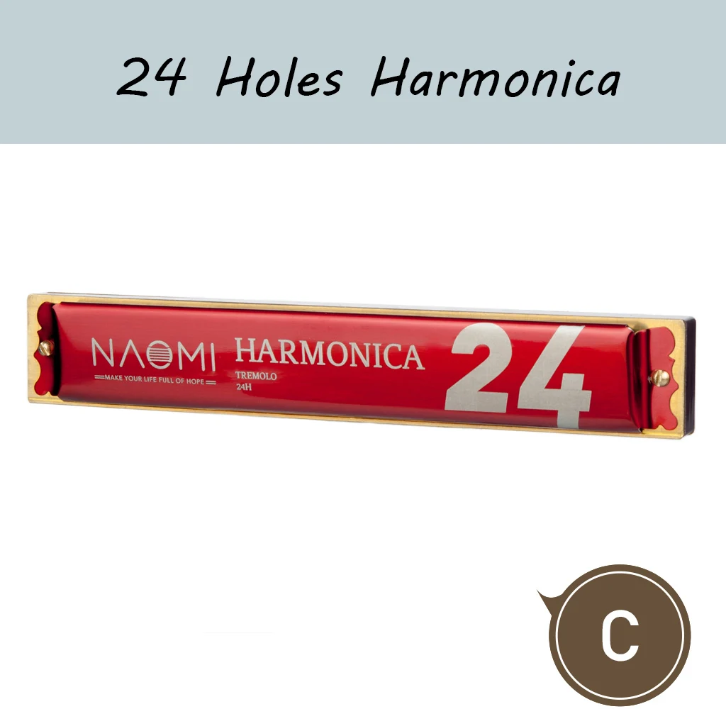 

Professional Tremolo Harmonica C Tone 24 Holes Musical Harmonica Beginners Children