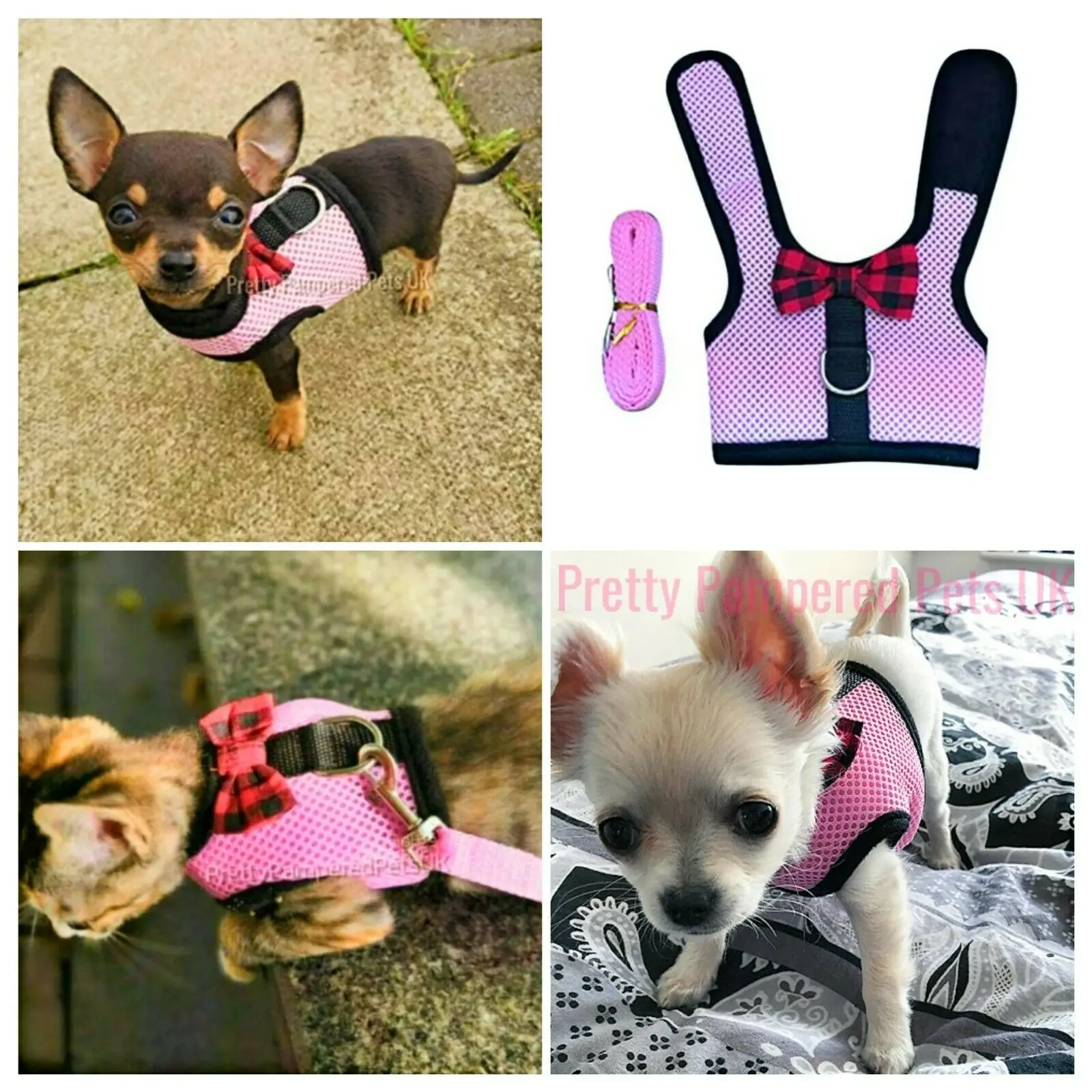 Pet Harness Set Pet Harness Leash Set Pet Leash Set XXXS XXS XS Puppy Dog Teacup Chihuahua Harness Lead Mesh Vest for Tiny Kitty Cat Yorkie Maltese Rabbit Kitten Harness Vest