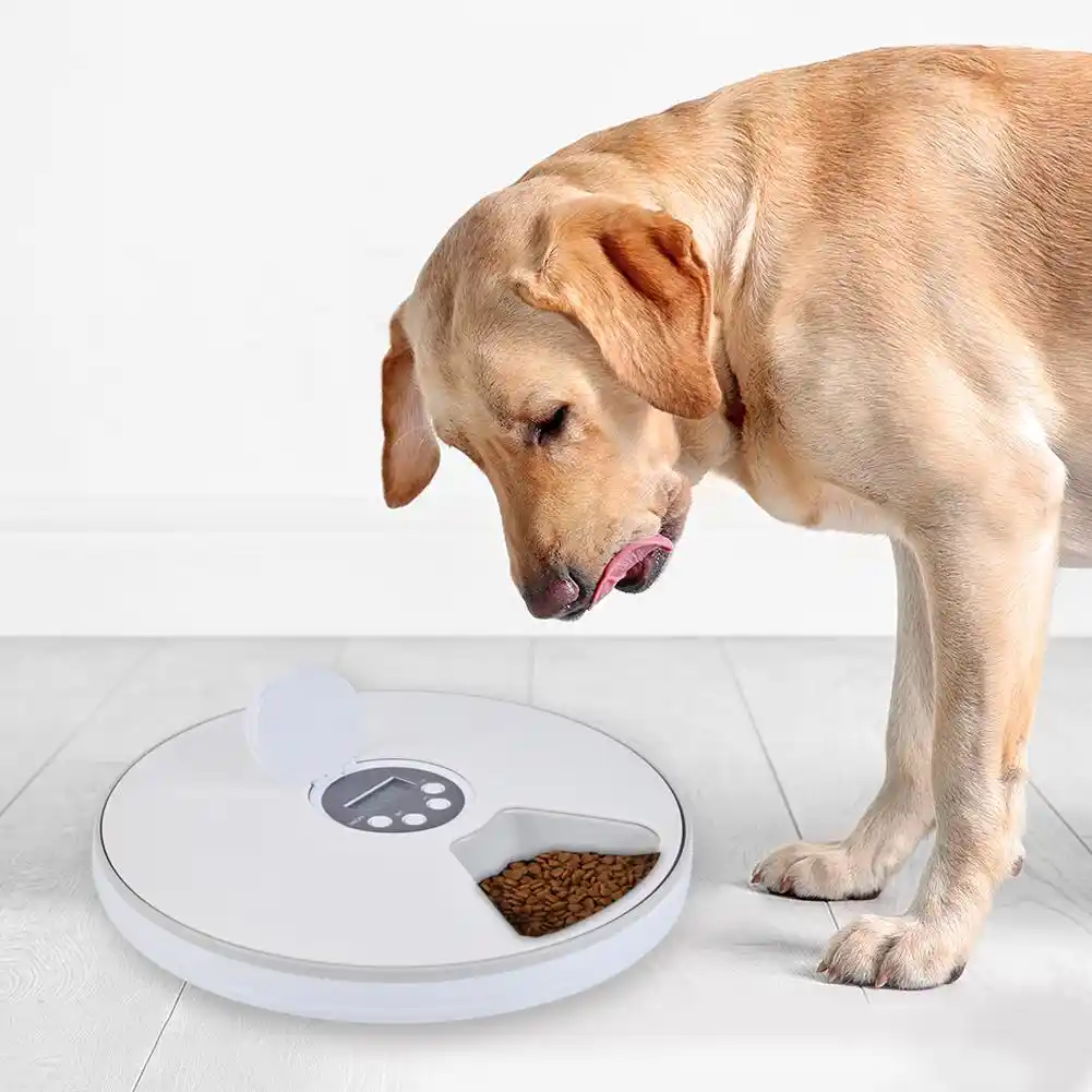 Automatic Pet Feeder Cat Feeder 24h Timer 6 Grids Dog Cat Food
