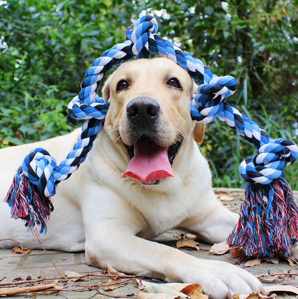 Best Pirce 😍 Mia's Pet Supply Tooth Cleaning Resistance To Bite Pet Toys Training Game 😍 -Cheap Mia's Pet Supply Store H5102ea507bdd4a2291880abf38011189n