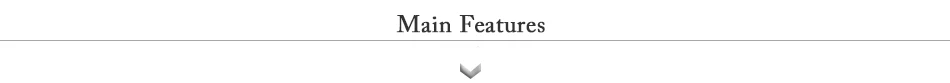 main feature