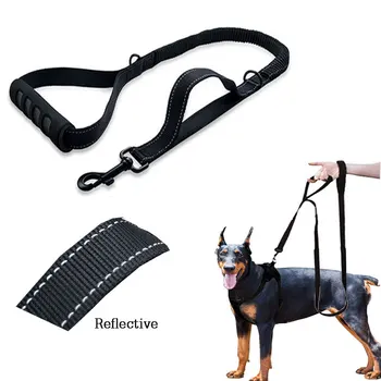 

Pet Leash with 2 control handles Padded Double Handle Leash For Greater Control Safety Training Protect Dog accessori