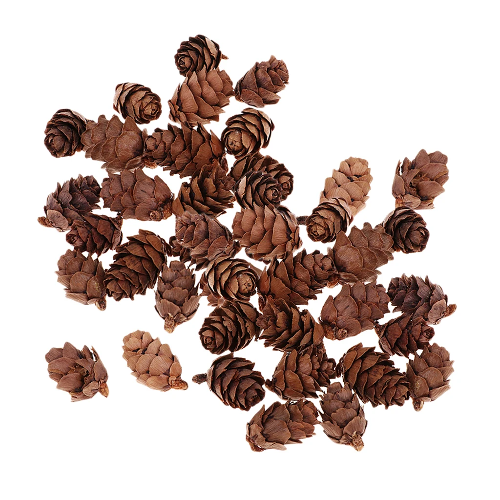 100x Natural Decorative Pine Cone Pinecone For Christmas Ornament Craft 100x Natural Decorative Pine Cone Pinecone For Christmas Ornament Craft