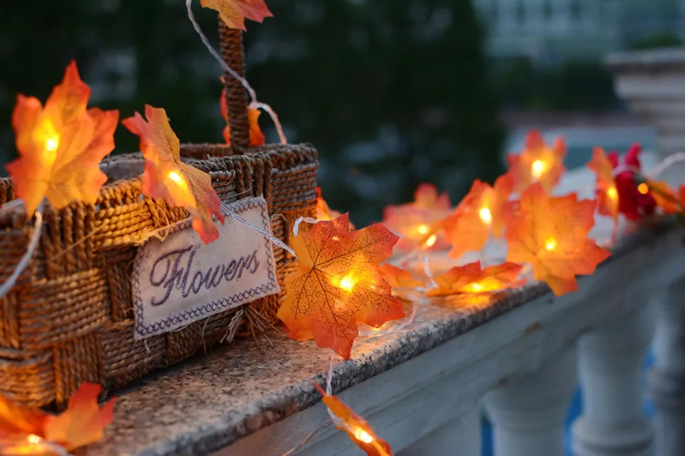 11824720827_1545766993