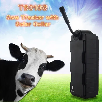 

GPS Cow Smart GSM GPS tracker T5010S Special Collars with GPS Locator Waterproof Real Time GPS Tracking System Solar GPS Tracker