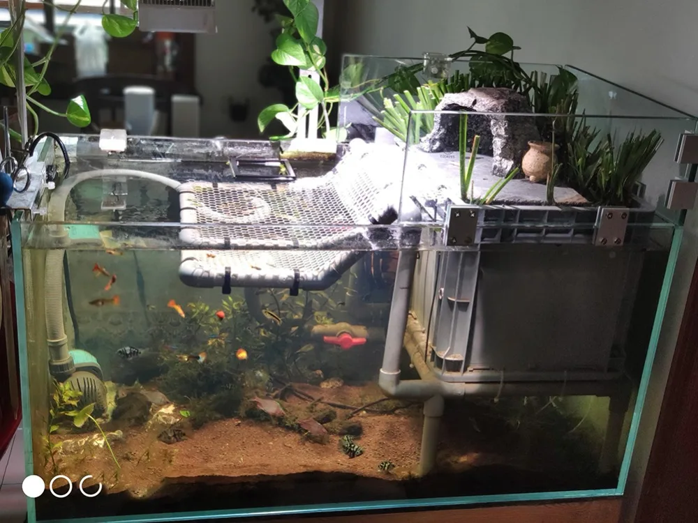 O1CN01Xgrgys2K1DbTtBfsS_!!0-rate