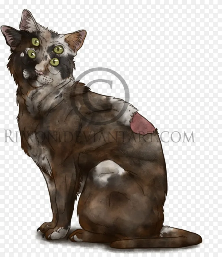 胡须猫画图猫背png图片素材免费下载 图片编号 Png素材网