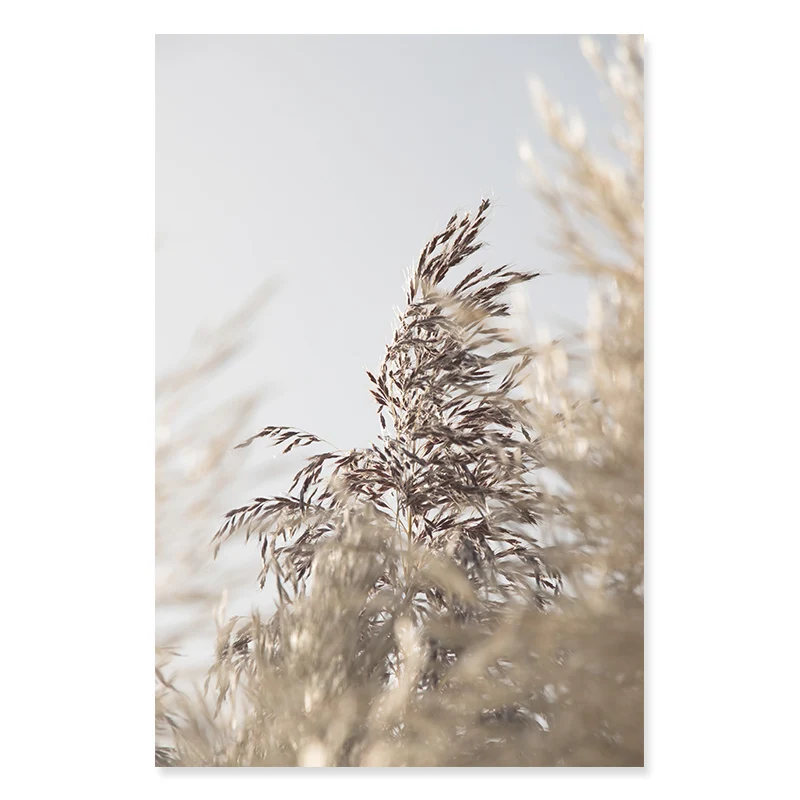 Beige-Monaco-Gate-Palace-Dried-Plants-Scene-Travel-Poster-Canvas-Painting-Prints-Wall-Art-Pictures-for (8)