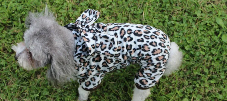 New Leopard Print Four Legged Dog Clothes Autumn and Winter Clothes New Teddy VIP Dog Clothes Dog Coat Pet Products Outfits