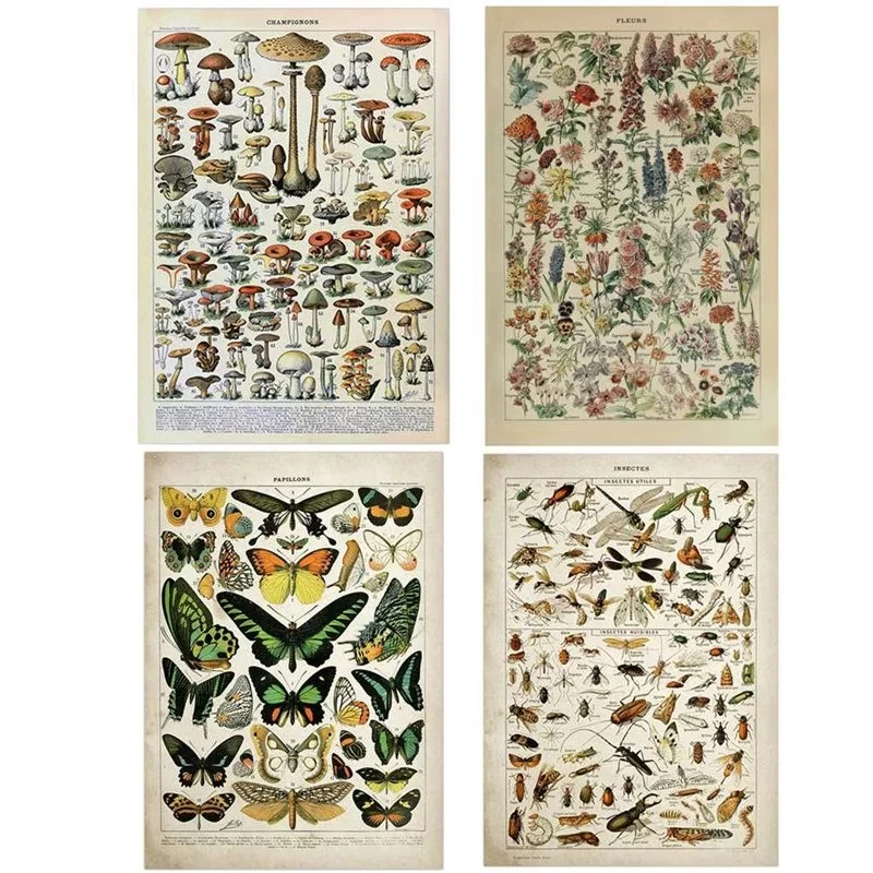 Vintage Adolphe Millot Encyclopedia Posters and Prints Butterfly Flowers Insect Canvas Painting Wall Art Picture for Living Room